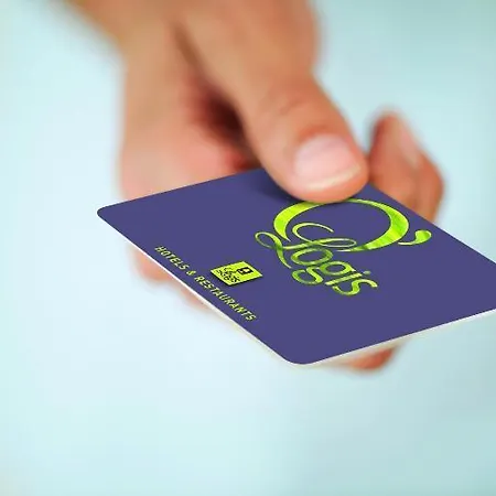 Logis Et Restaurant Du Dauphin Sées