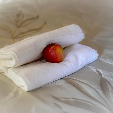 Logis Et Restaurant Du Dauphin Hotel 3*