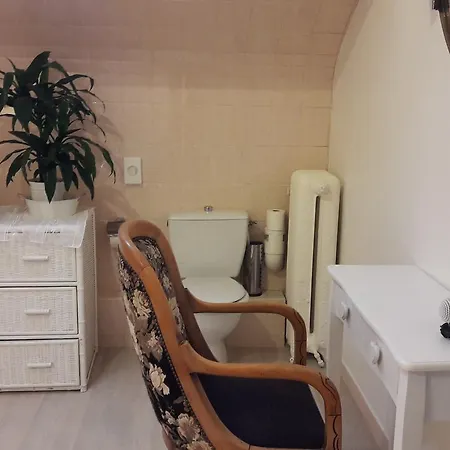 Logis Et Restaurant Du Dauphin Sées