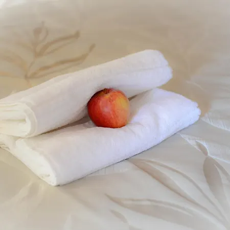 Logis Et Restaurant Du Dauphin Hotell