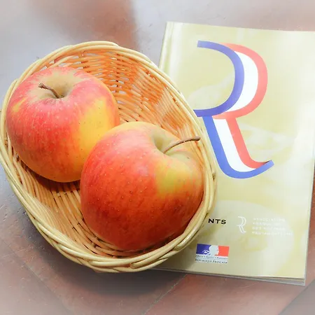 Ξενοδοχείο Logis Et Restaurant Du Dauphin 3*