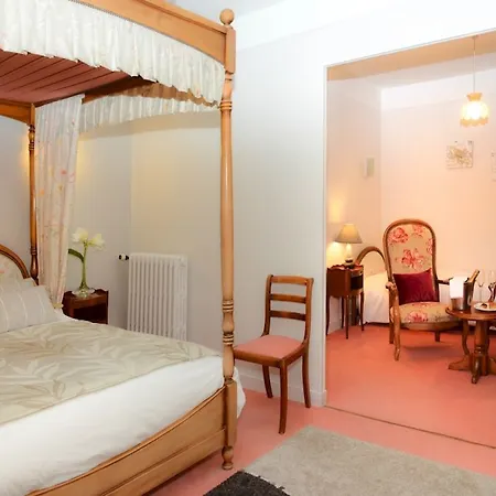 Logis Et Restaurant Du Dauphin Hotell