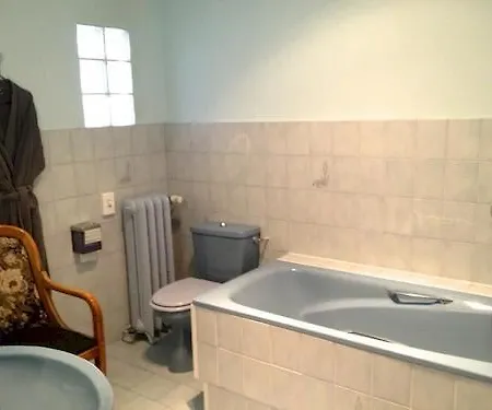 Logis Et Restaurant Du Dauphin Ξενοδοχείο