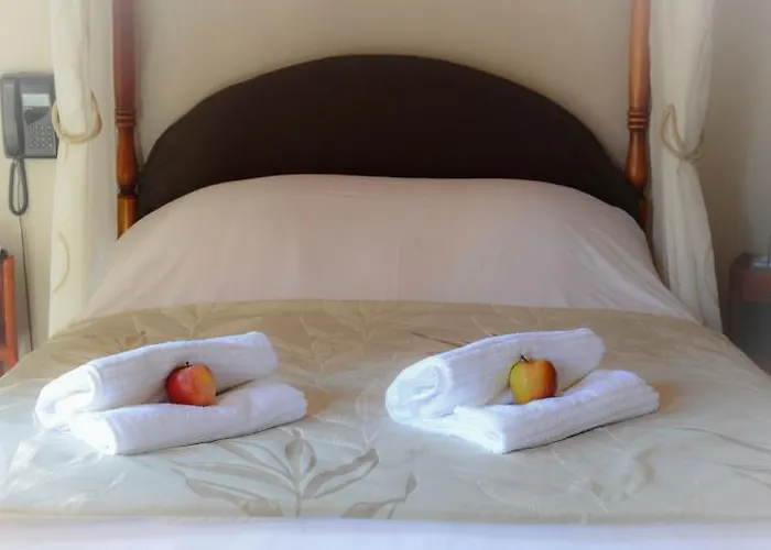 Logis Et Restaurant Du Dauphin Otel