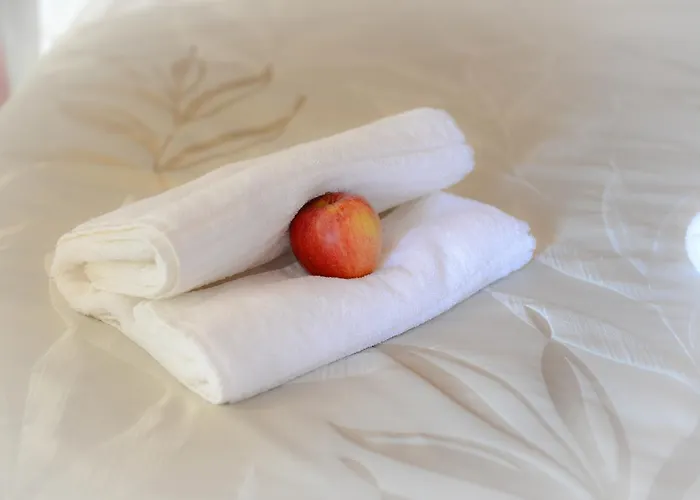 Logis Et Restaurant Du Dauphin Otel