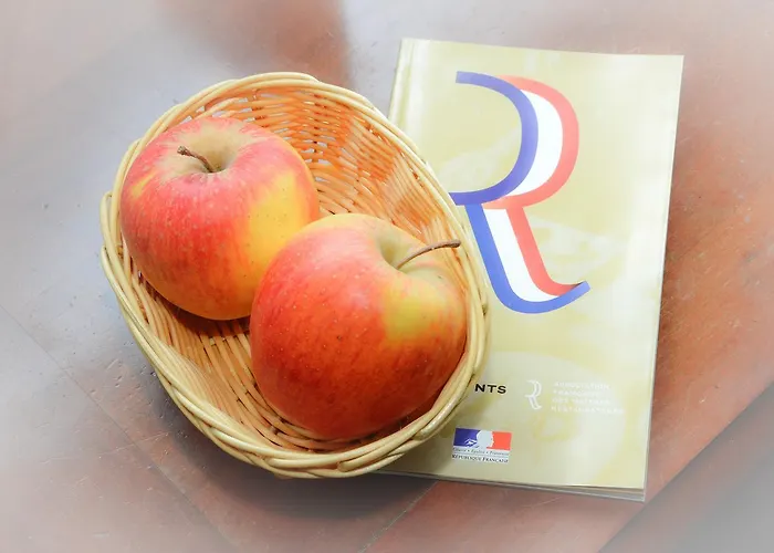 Otel Logis Et Restaurant Du Dauphin 3*