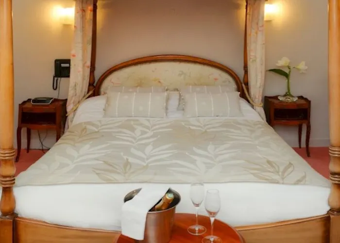 Logis Et Restaurant Du Dauphin Otel