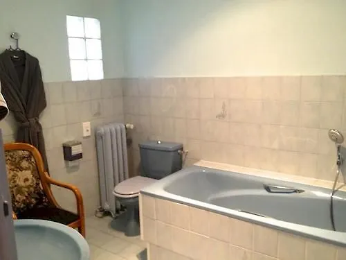 Logis Et Restaurant Du Dauphin Otel