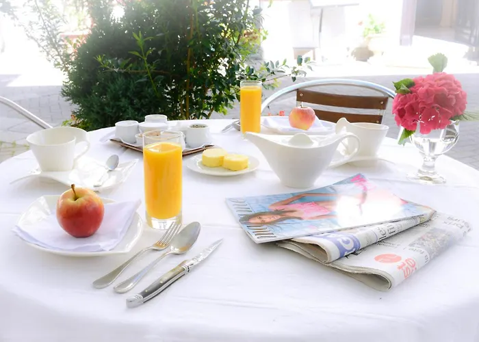 Otel Logis Et Restaurant Du Dauphin